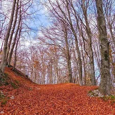 Mare & Monti Istra Вілла