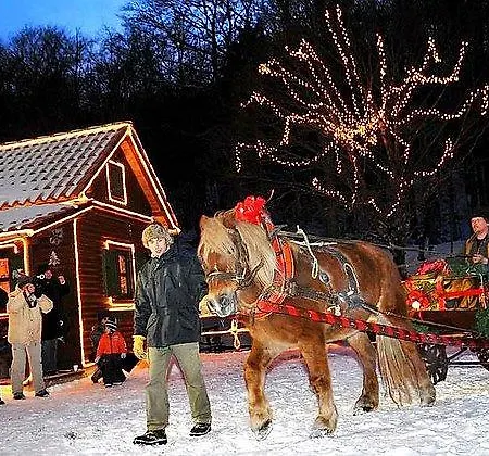 Mare & Monti Istra 빌라 *