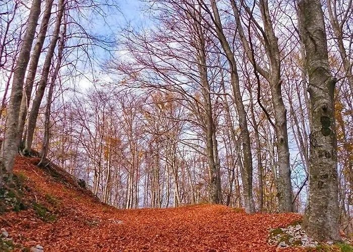 Mare & Monti Istra Villa