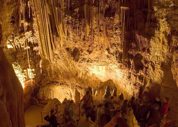 Vila Mare & Monti Istra *