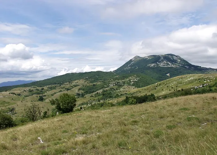 Vila Mare & Monti Istra